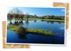 PARC DES BOUCLES DE LA SEINE NORMANDE