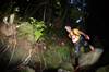 Photo : VOLCANO TRAIL