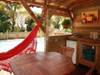 Photo : LES BANANES VERTES
