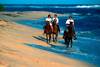 Photo : LA JOURNEE DU CHEVAL