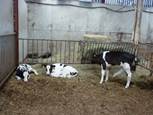 fromagerie-lechampsdetrefle-ERDEVEN-MorbihanBretagneSud OT Erdeven