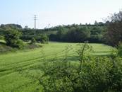 Les berges du Clain