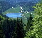 PARC DU HAUT-JURA