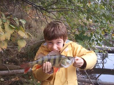 MC Fishing