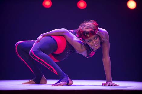 Cirque Arlette Gruss