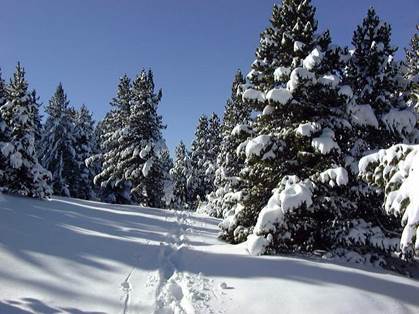 Passion Montagne Hiver