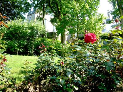 Le jardin Bucciali