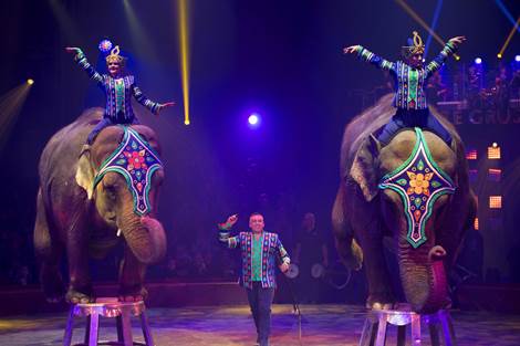 spectacle Arlette Gruss