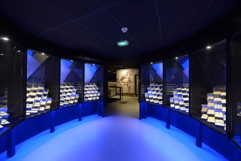 Musée de la céramique