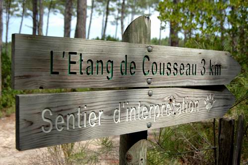 Photo Etang de Cousseau