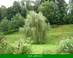 le parc du gîte le parc du gîte
