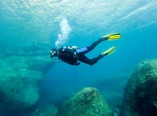 Test snorkeling! - Cip Collioure - Diving