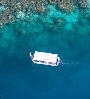 Ouest Corail - Bateau à fond de verre et randonnée palmée