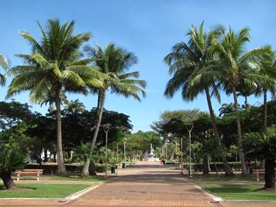 Coconut square